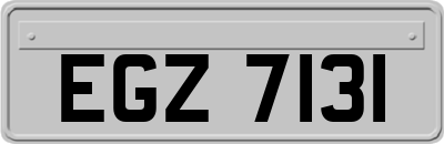 EGZ7131