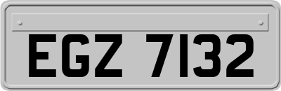 EGZ7132