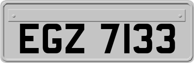 EGZ7133