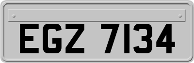 EGZ7134