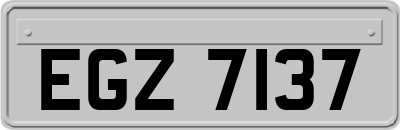 EGZ7137