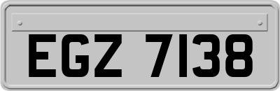 EGZ7138