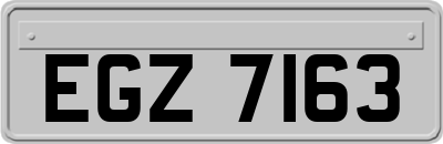 EGZ7163