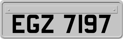 EGZ7197