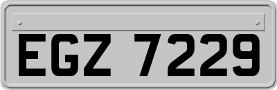 EGZ7229