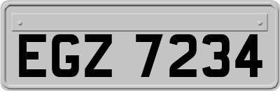 EGZ7234