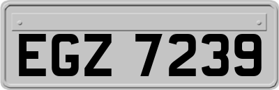 EGZ7239