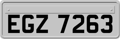 EGZ7263