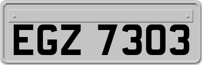 EGZ7303