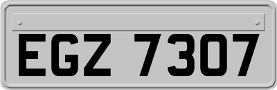 EGZ7307