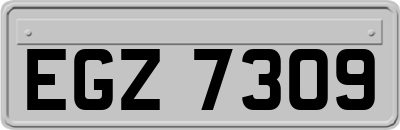EGZ7309
