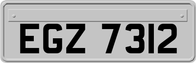 EGZ7312