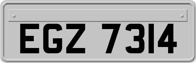 EGZ7314