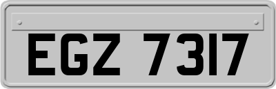 EGZ7317
