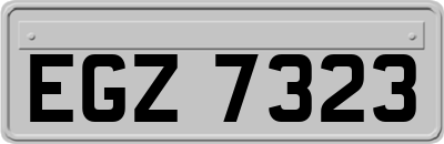 EGZ7323