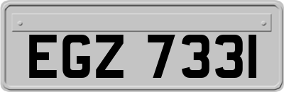 EGZ7331