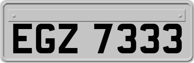 EGZ7333