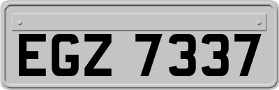 EGZ7337