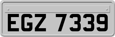EGZ7339