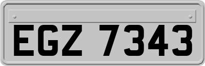 EGZ7343