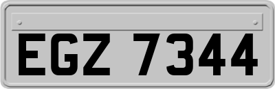 EGZ7344