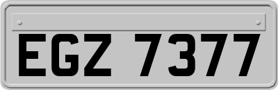 EGZ7377