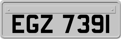 EGZ7391