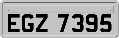 EGZ7395
