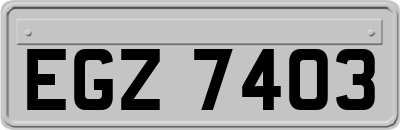 EGZ7403