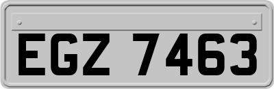 EGZ7463