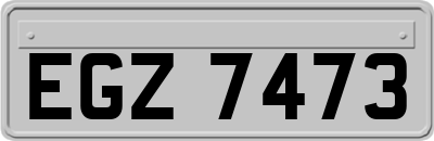EGZ7473