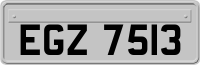 EGZ7513