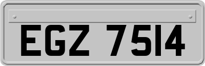 EGZ7514