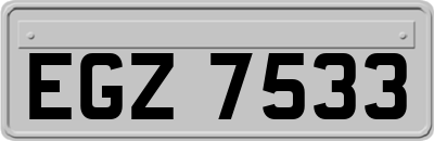 EGZ7533