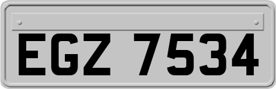 EGZ7534