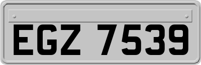 EGZ7539