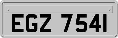 EGZ7541