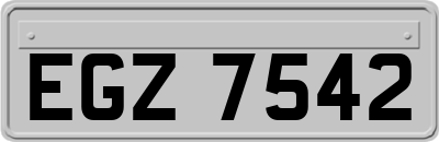 EGZ7542