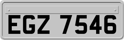 EGZ7546