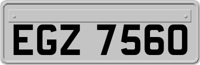 EGZ7560