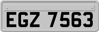 EGZ7563