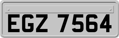EGZ7564