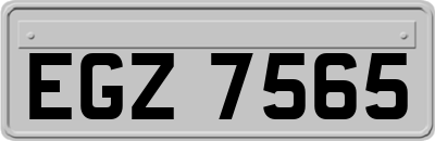 EGZ7565