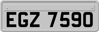 EGZ7590