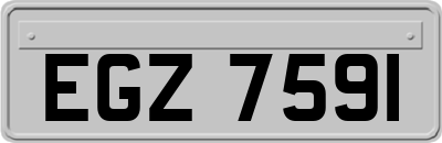 EGZ7591