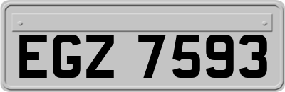 EGZ7593
