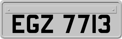 EGZ7713