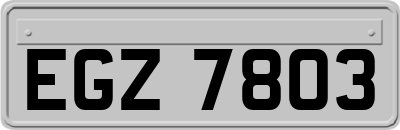 EGZ7803