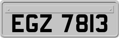 EGZ7813