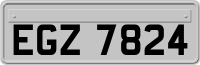 EGZ7824